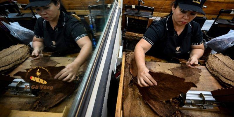 Cuốn máy phù hợp với người mới và nhu cầu hút thường xuyên.